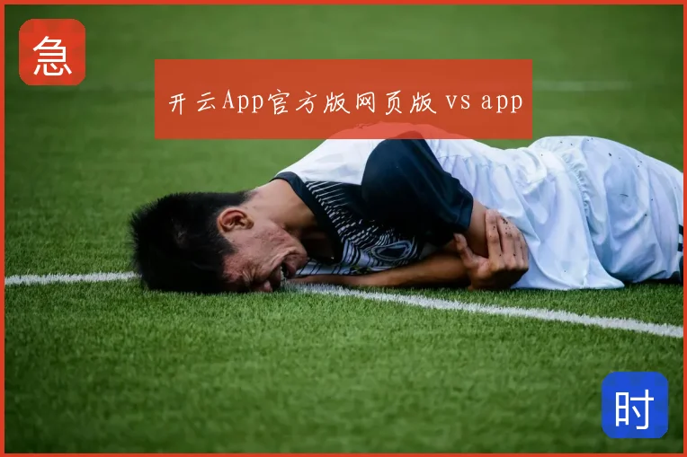 开云App官方版网页版 vs app